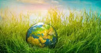 obr. zeměkoule v trávě